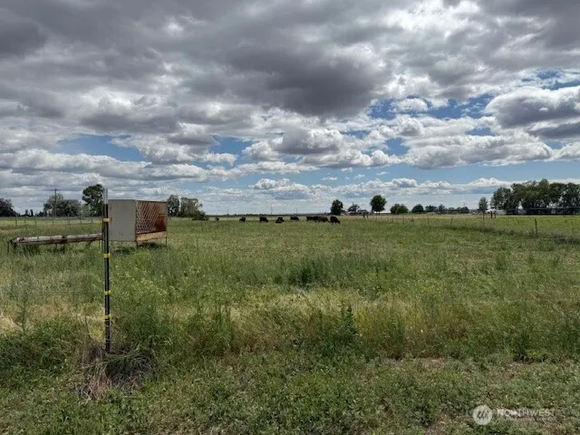a view of a lake with houses in back