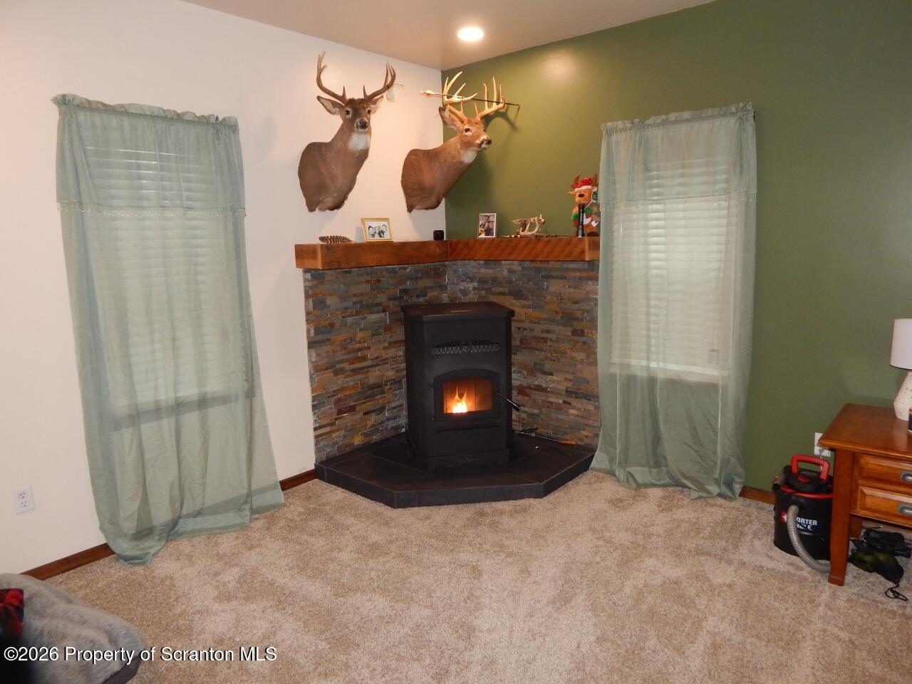 413 Delaware Street Jessup, PA 18434 - Photo 10 of 31 DSCN5918