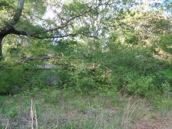 $45,000 | 0 Madison Lane, Graceville, FL 32440