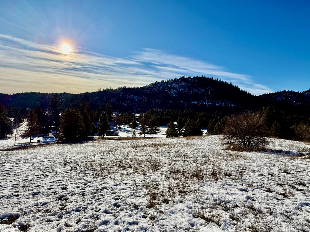 Pt Lot 7 Packer John Road, Unit 7 Cascade, ID 83611 - Photo 7 of 14 Gentle Slope gives Privacy from Neighbors