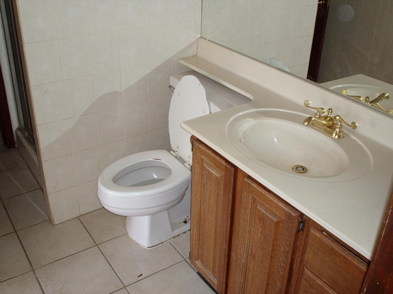 3827 West Ocotillo Road Phoenix, AZ 85019 - Photo 7 of 10 master bath