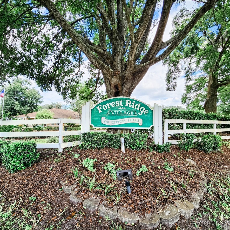 709 West Toucan Loop Hernando, FL 34442 - Photo 38 of 39