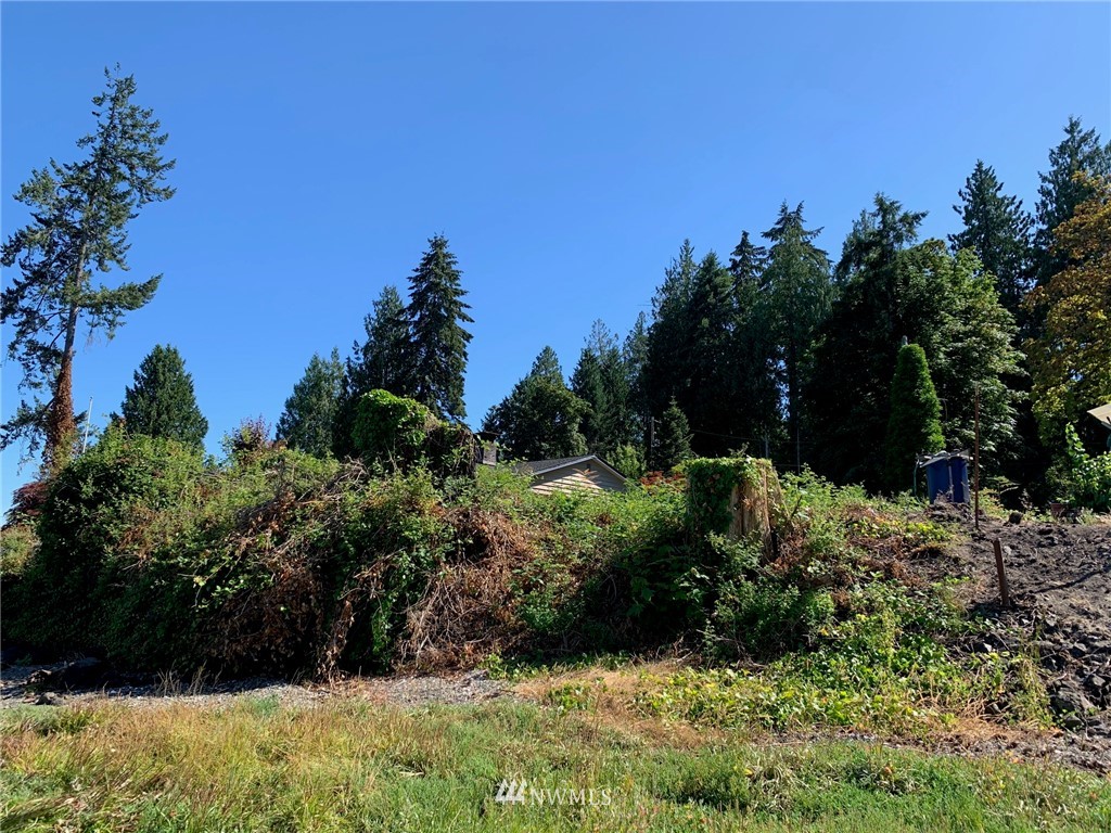 7740 East Grapeview Loop Road Allyn, WA 98524 - Photo 8 of 8 Gallery Image 8