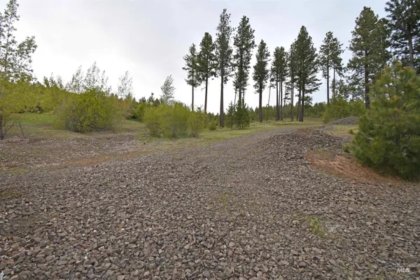 $679,000 | 90 Fireman Canyon Road, Pomeroy, WA 99347