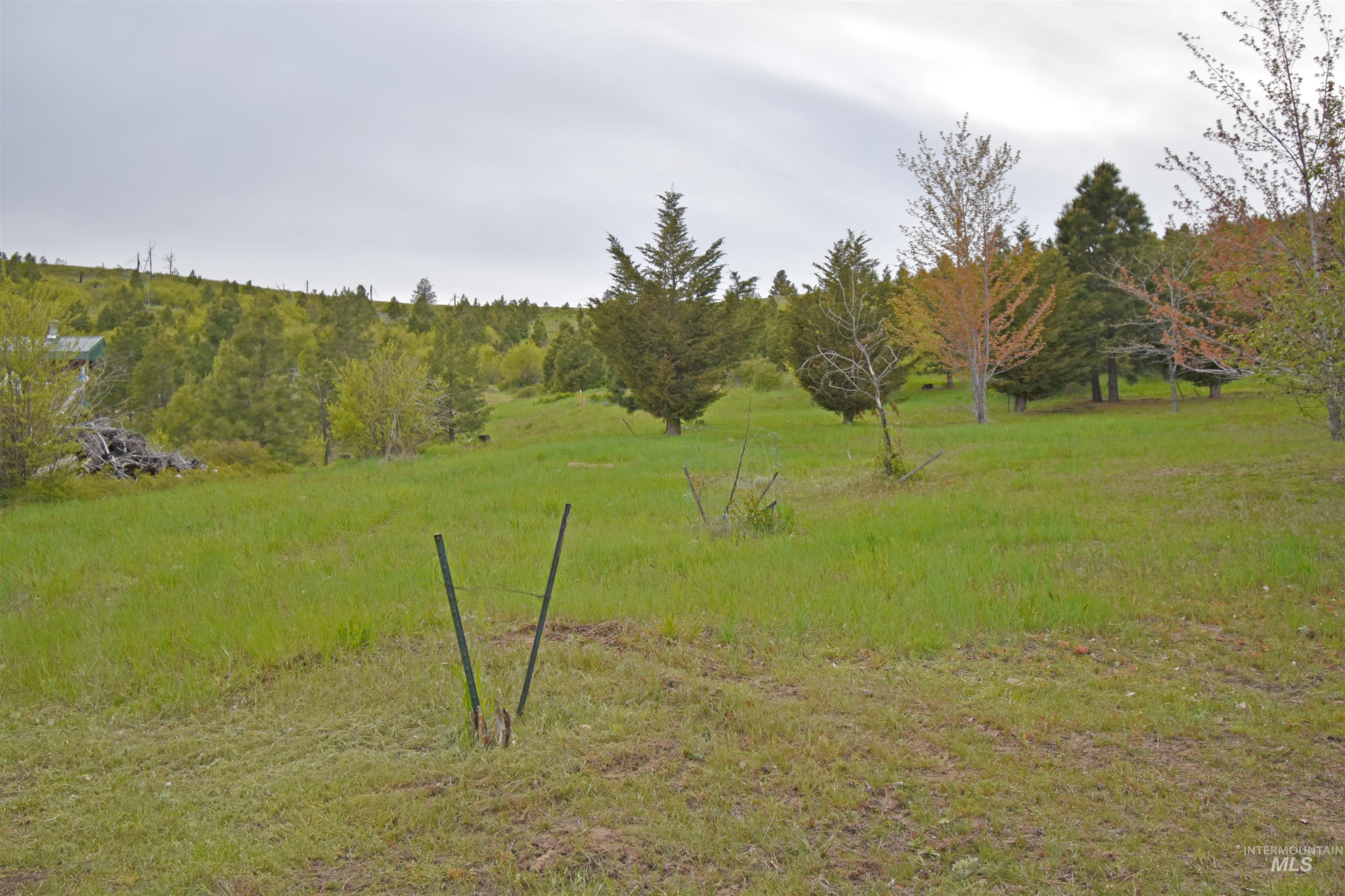 90 Fireman Canyon Road Pomeroy, WA 99347 - Photo 21 of 39
