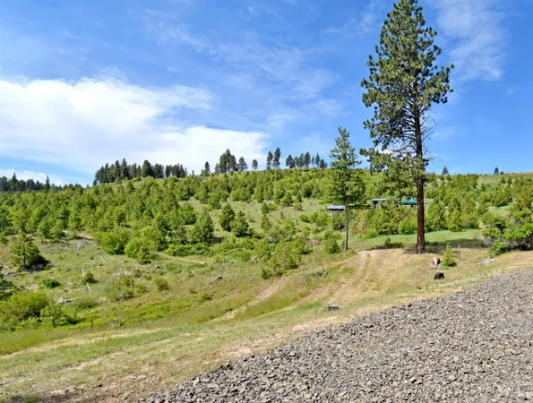 $679,000 | 90 Fireman Canyon Road, Pomeroy, WA 99347