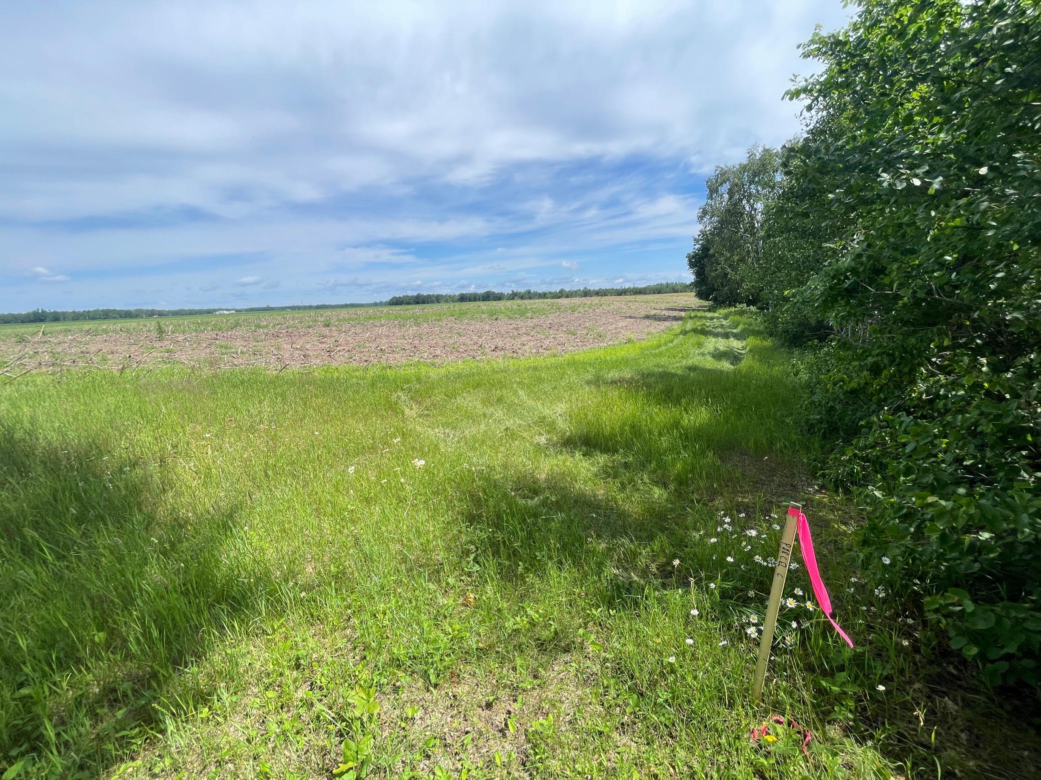 Tbd Boot Lake Road Southwest Bemidji, MN 56601 - Photo 43 of 55
