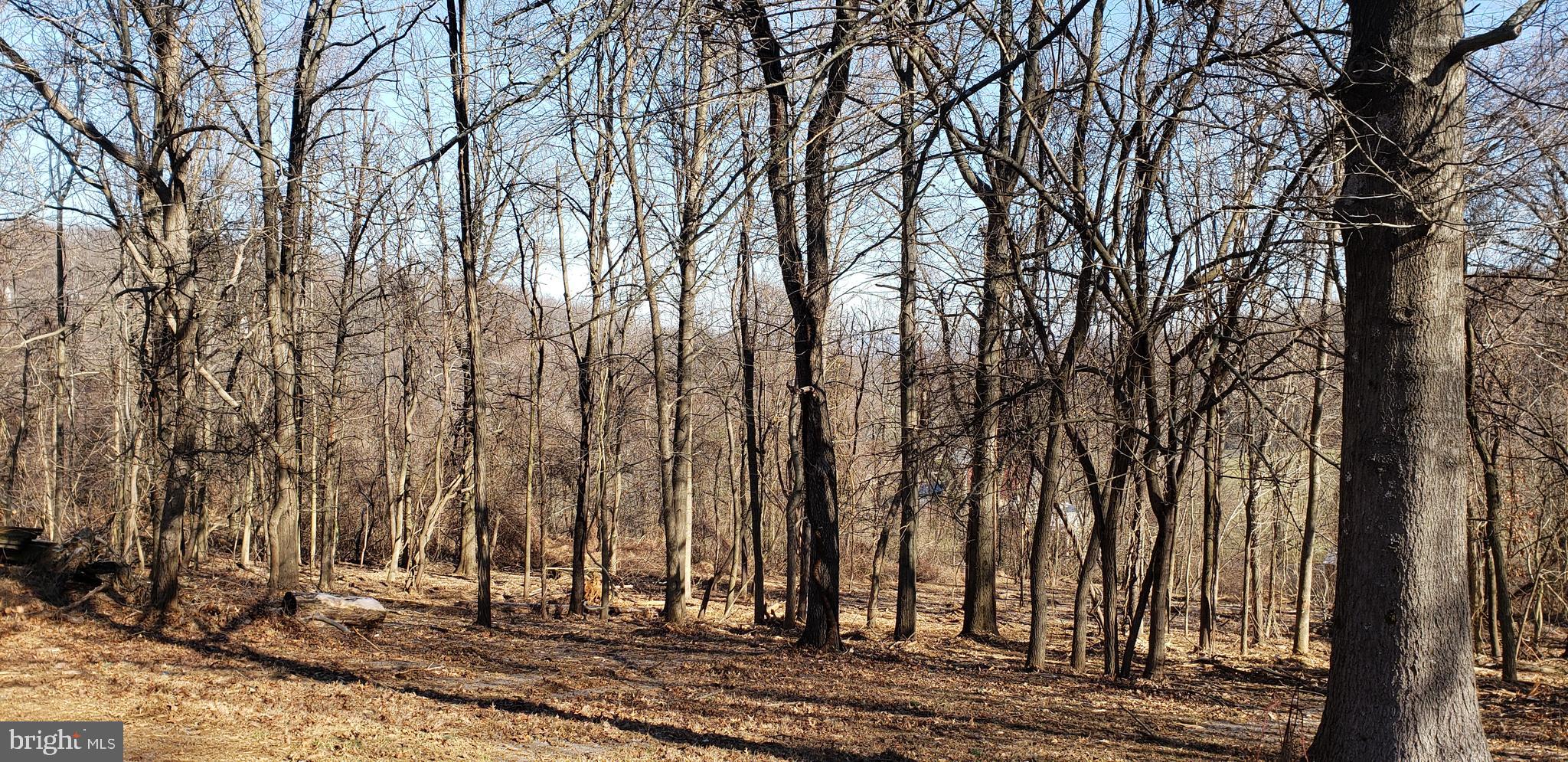 Lot #4 South Clifton Road Frederick, MD 21703 - Photo 1 of 16