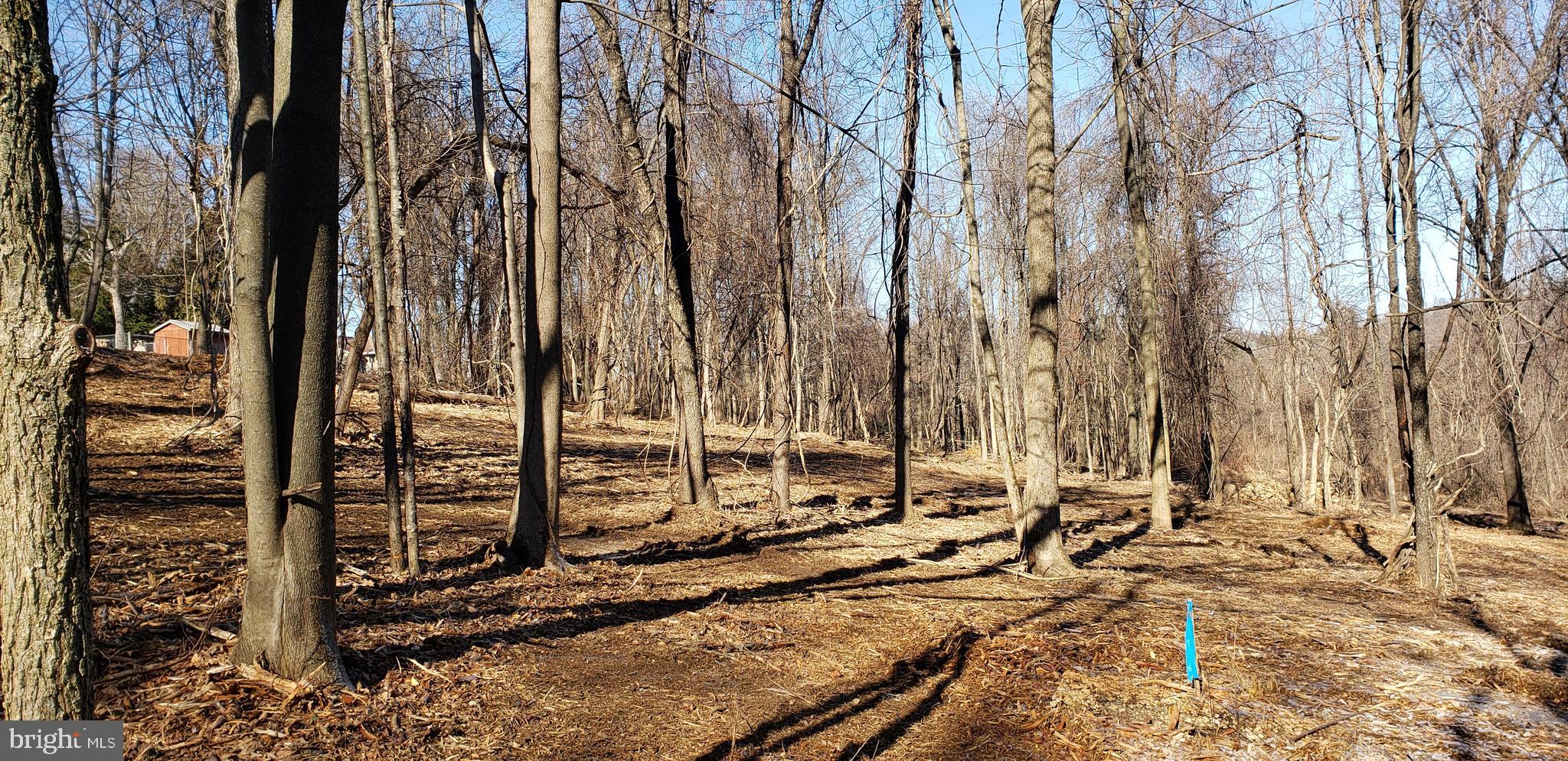 Lot #4 South Clifton Road Frederick, MD 21703 - Photo 11 of 16