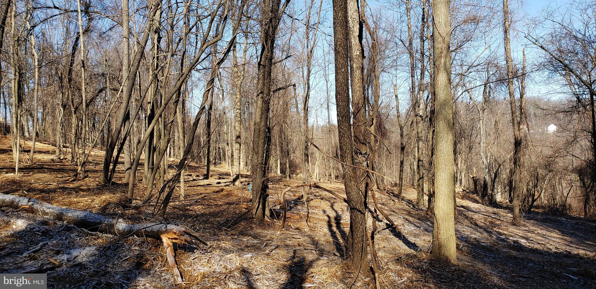 Lot #4 South Clifton Road Frederick, MD 21703 - Photo 12 of 16
