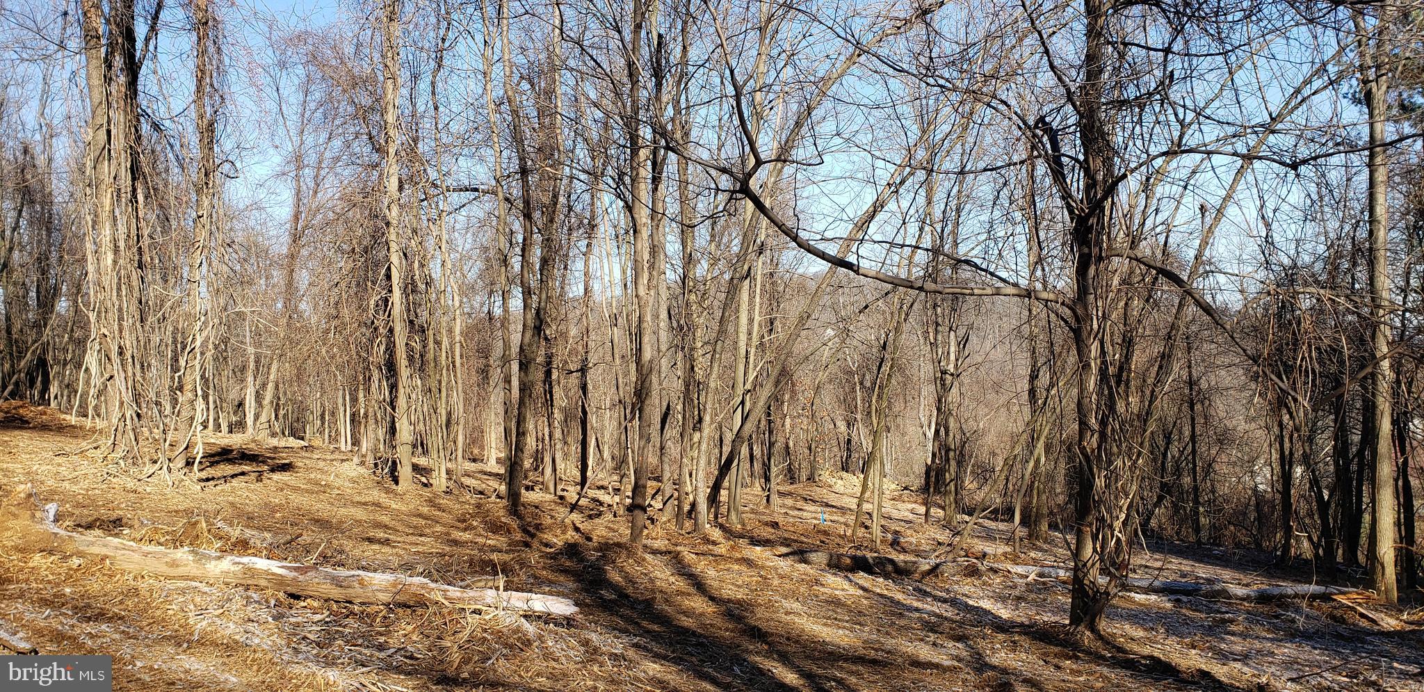 Lot #4 South Clifton Road Frederick, MD 21703 - Photo 13 of 16