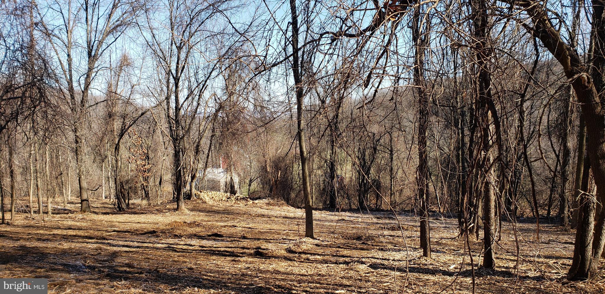 Lot #4 South Clifton Road Frederick, MD 21703 - Photo 14 of 16