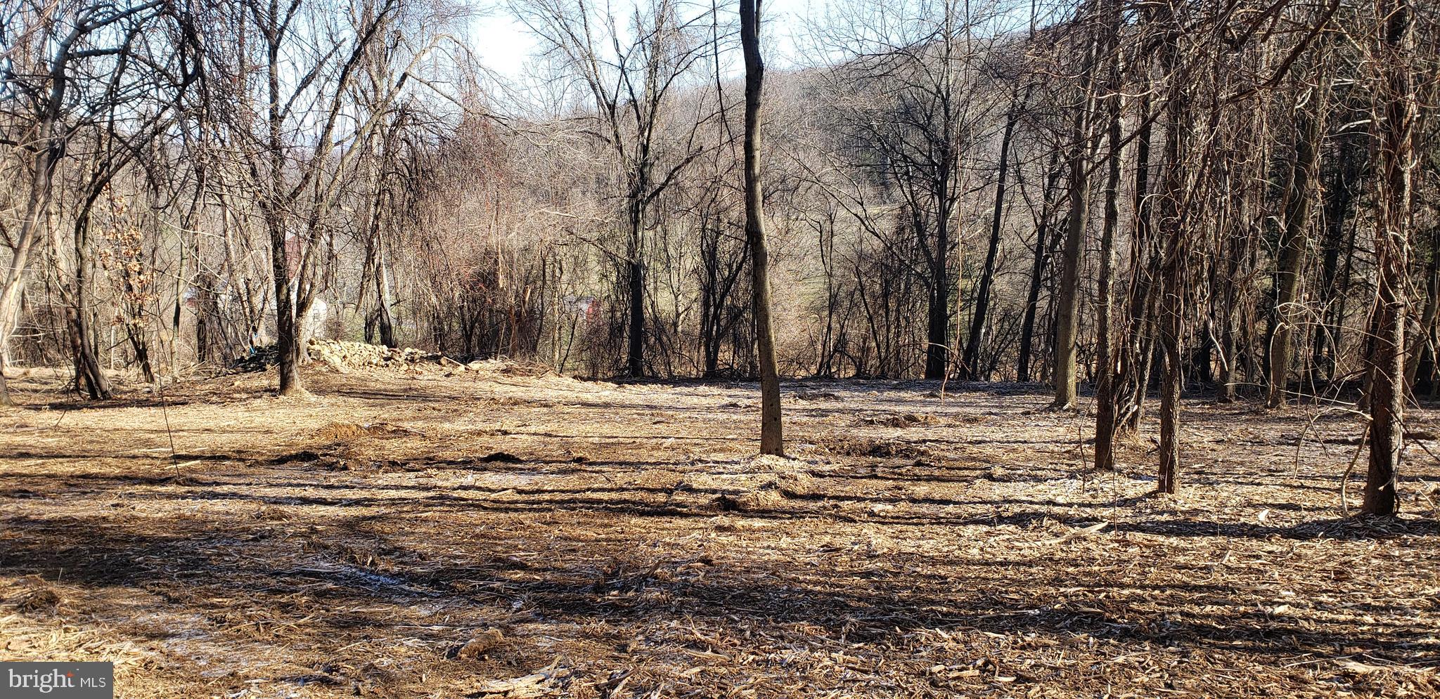 Lot #4 South Clifton Road Frederick, MD 21703 - Photo 15 of 16