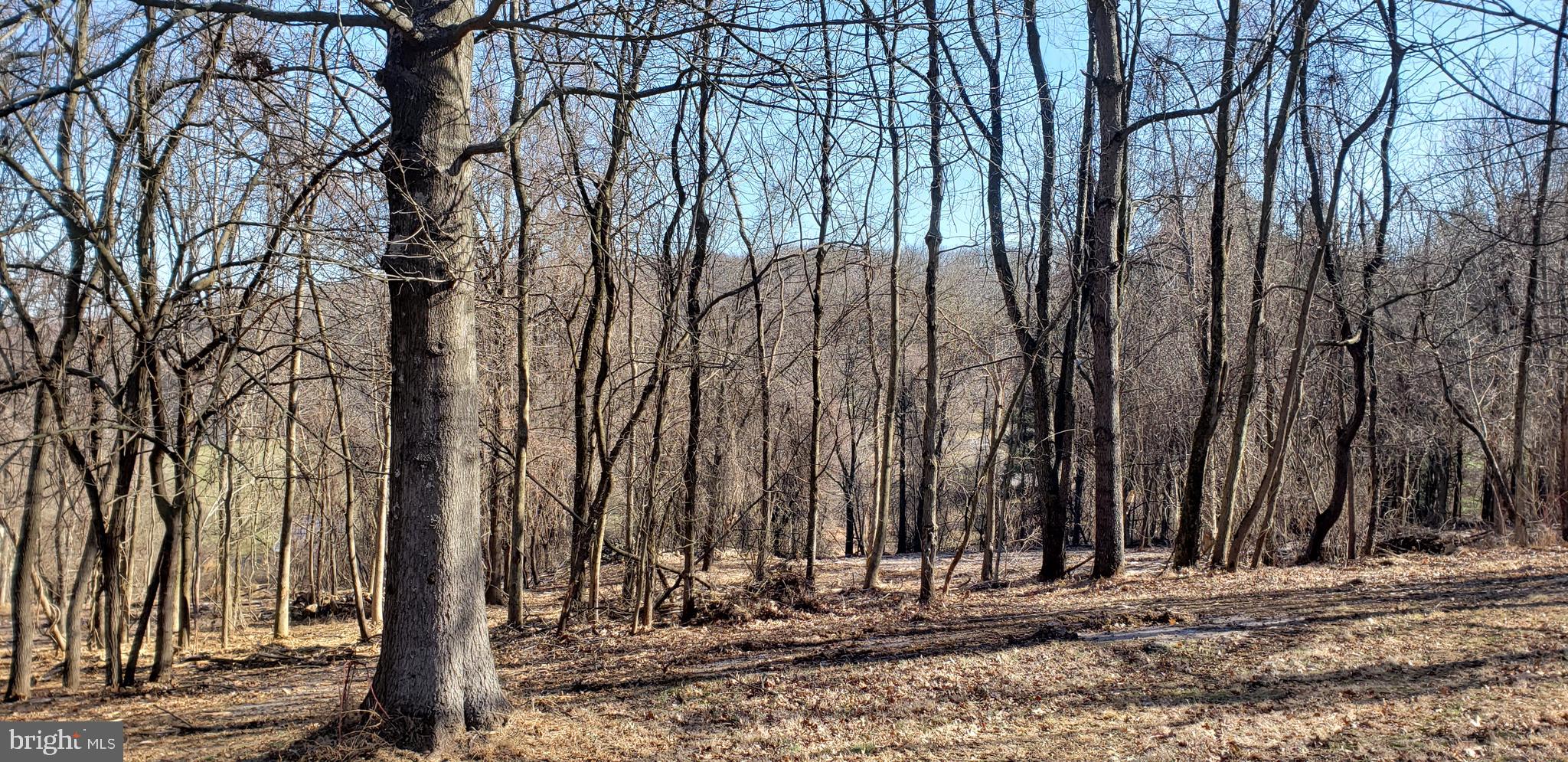 Lot #4 South Clifton Road Frederick, MD 21703 - Photo 16 of 16