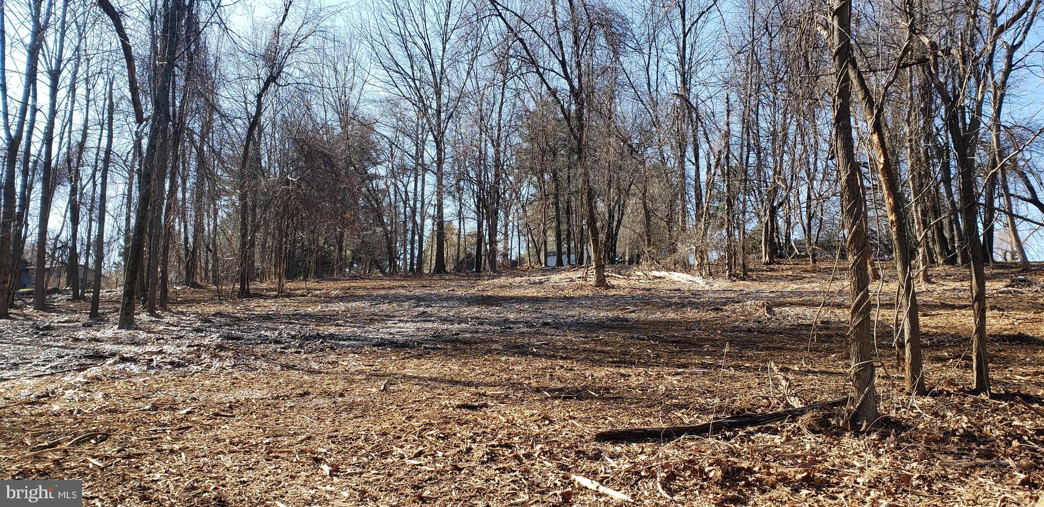 Lot #4 South Clifton Road Frederick, MD 21703 - Photo 5 of 16