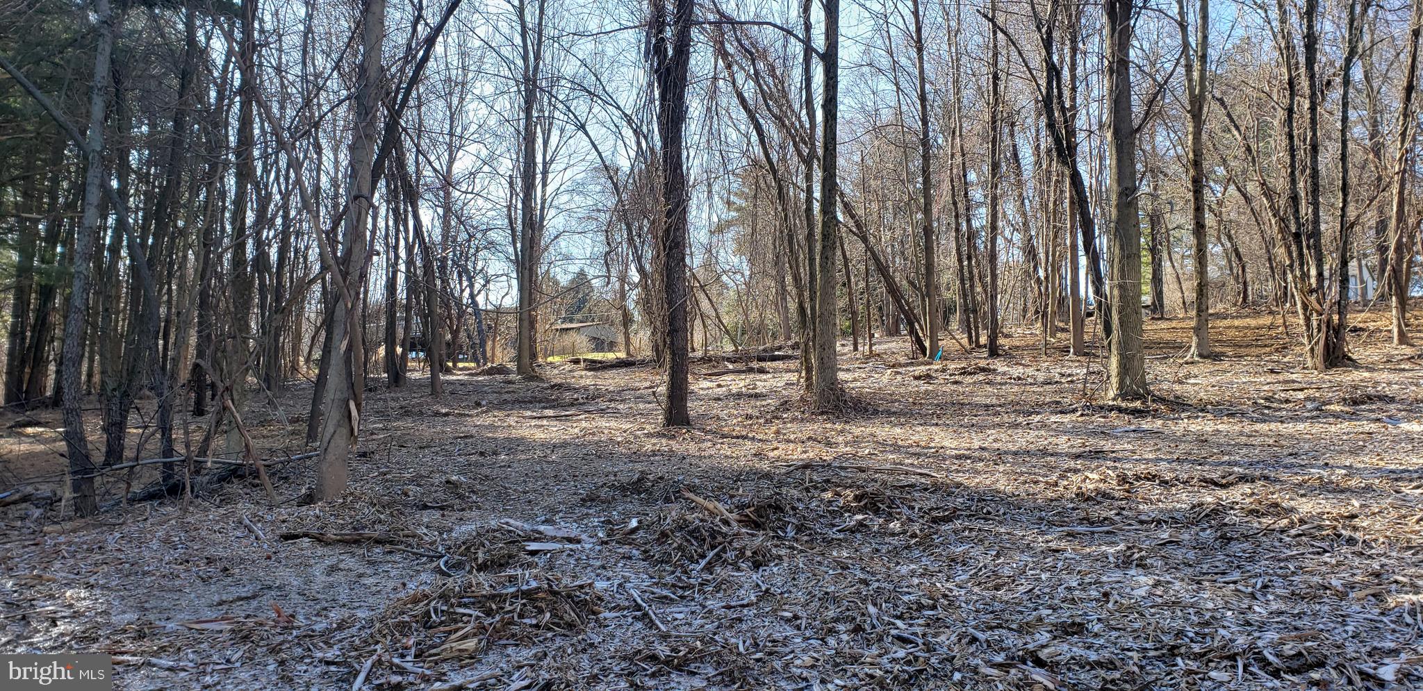 Lot #4 South Clifton Road Frederick, MD 21703 - Photo 7 of 16