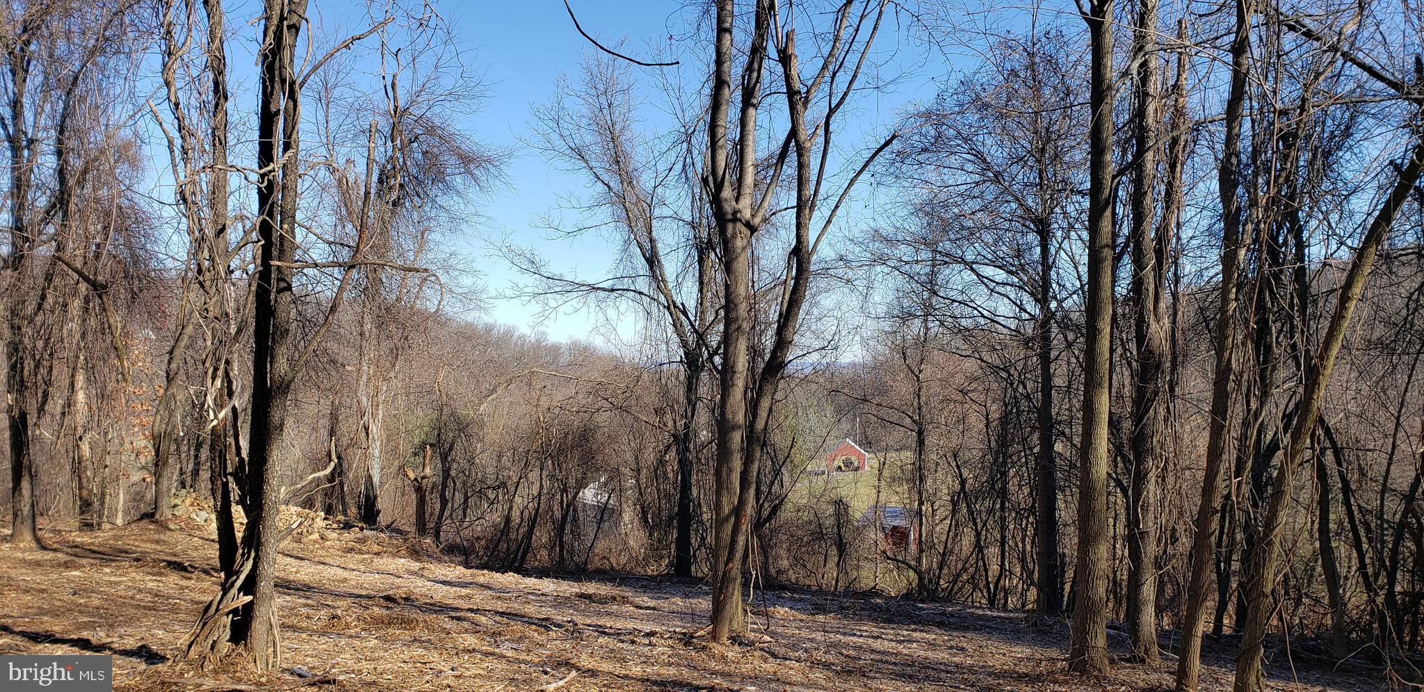 Lot #4 South Clifton Road Frederick, MD 21703 - Photo 8 of 16
