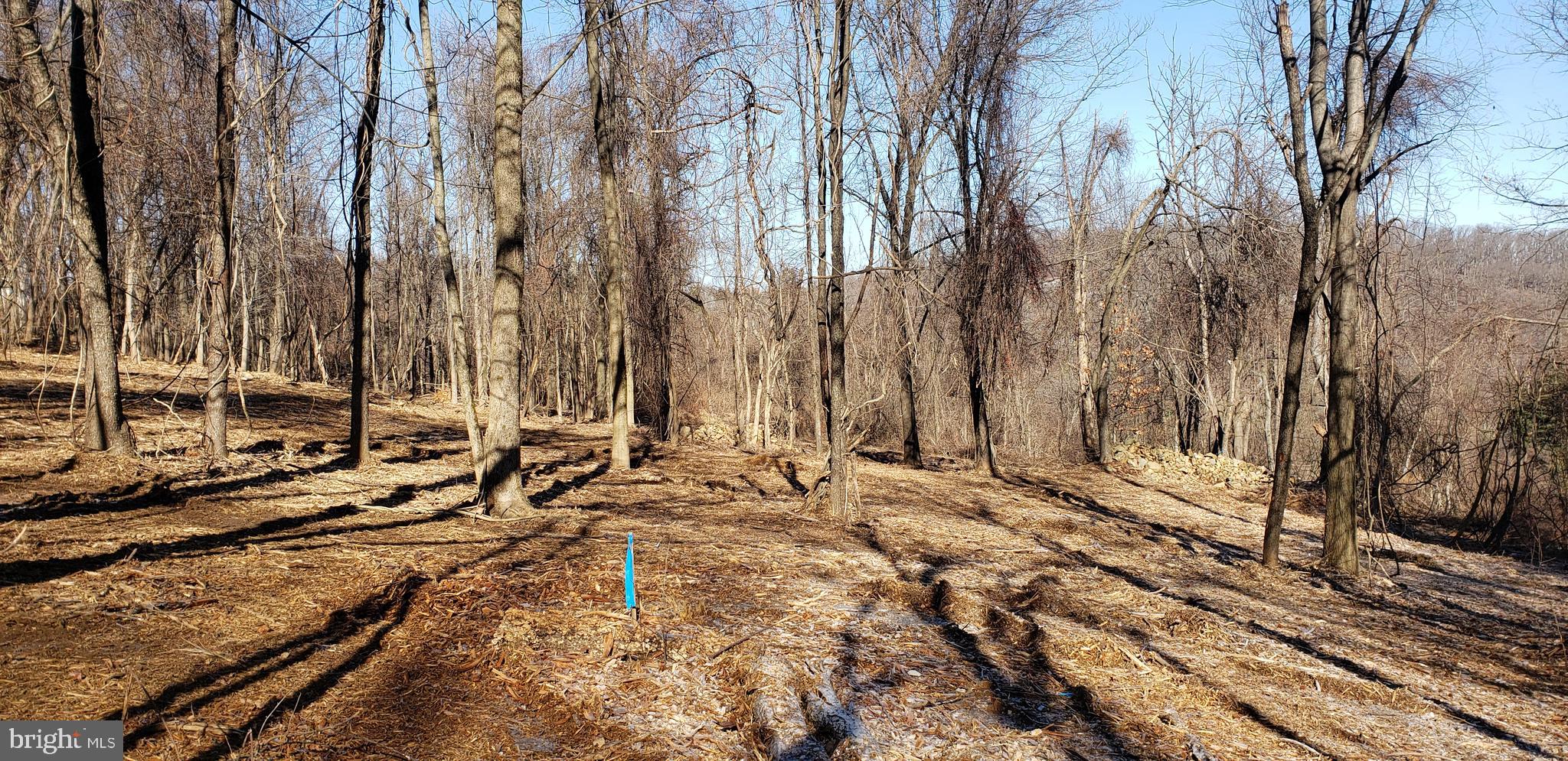 Lot #4 South Clifton Road Frederick, MD 21703 - Photo 10 of 16