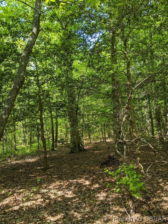 0 Store House Road Cardinal, VA 23025 - Photo 2 of 6