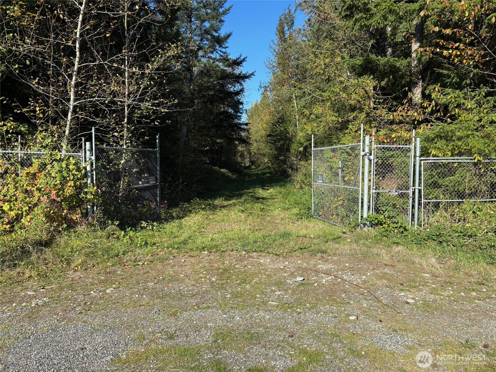 2046 Burk Road Blaine, WA 98230 - Photo 1 of 16 a view of a backyard