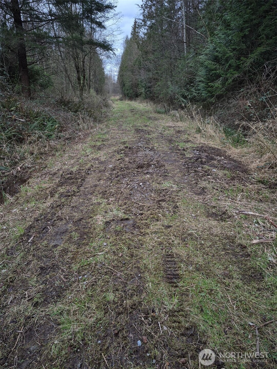2046 Burk Road Blaine, WA 98230 - Photo 11 of 16 a view of a dry yard with green space