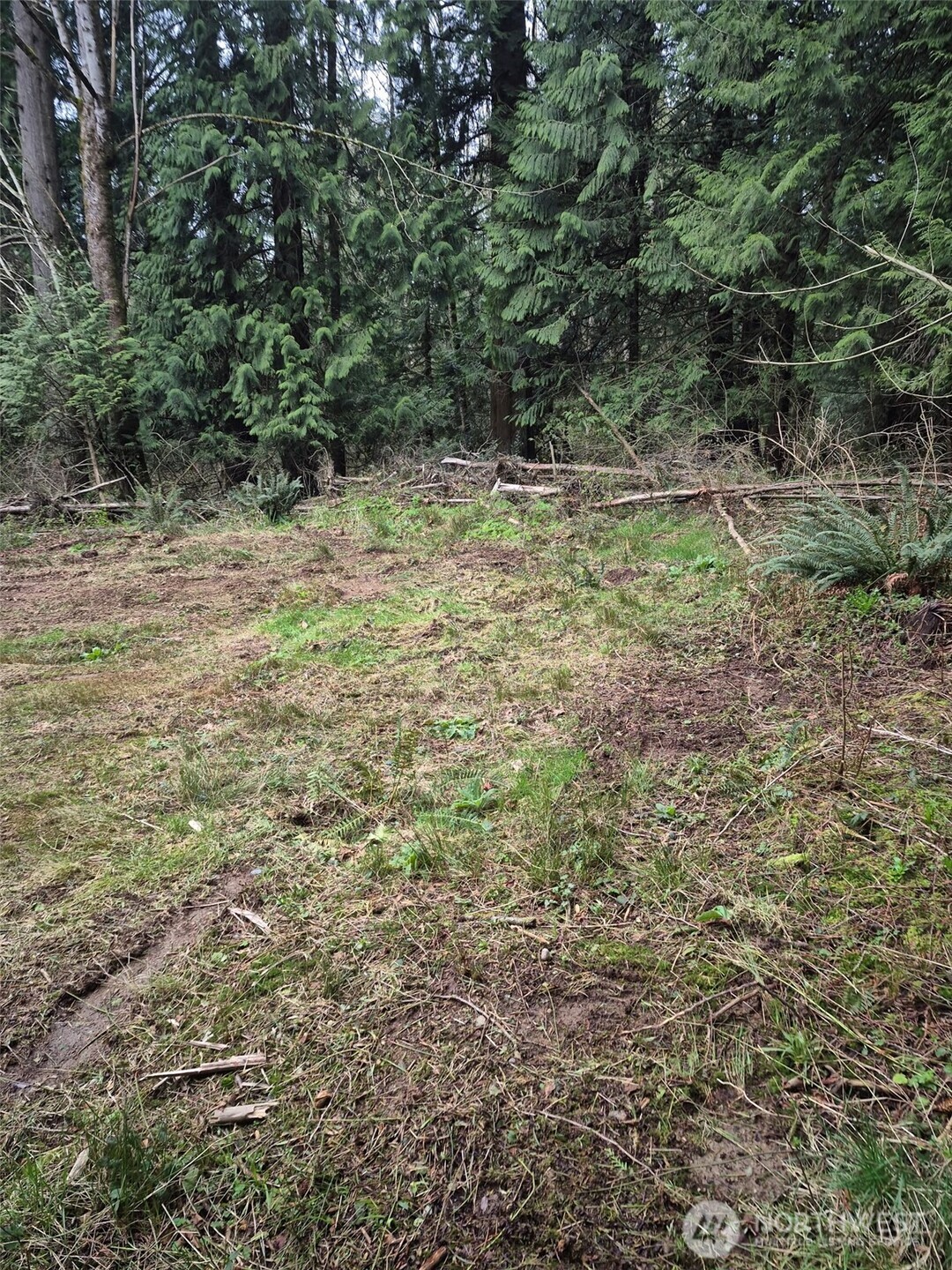 2046 Burk Road Blaine, WA 98230 - Photo 14 of 16 a view of a yard with a tree