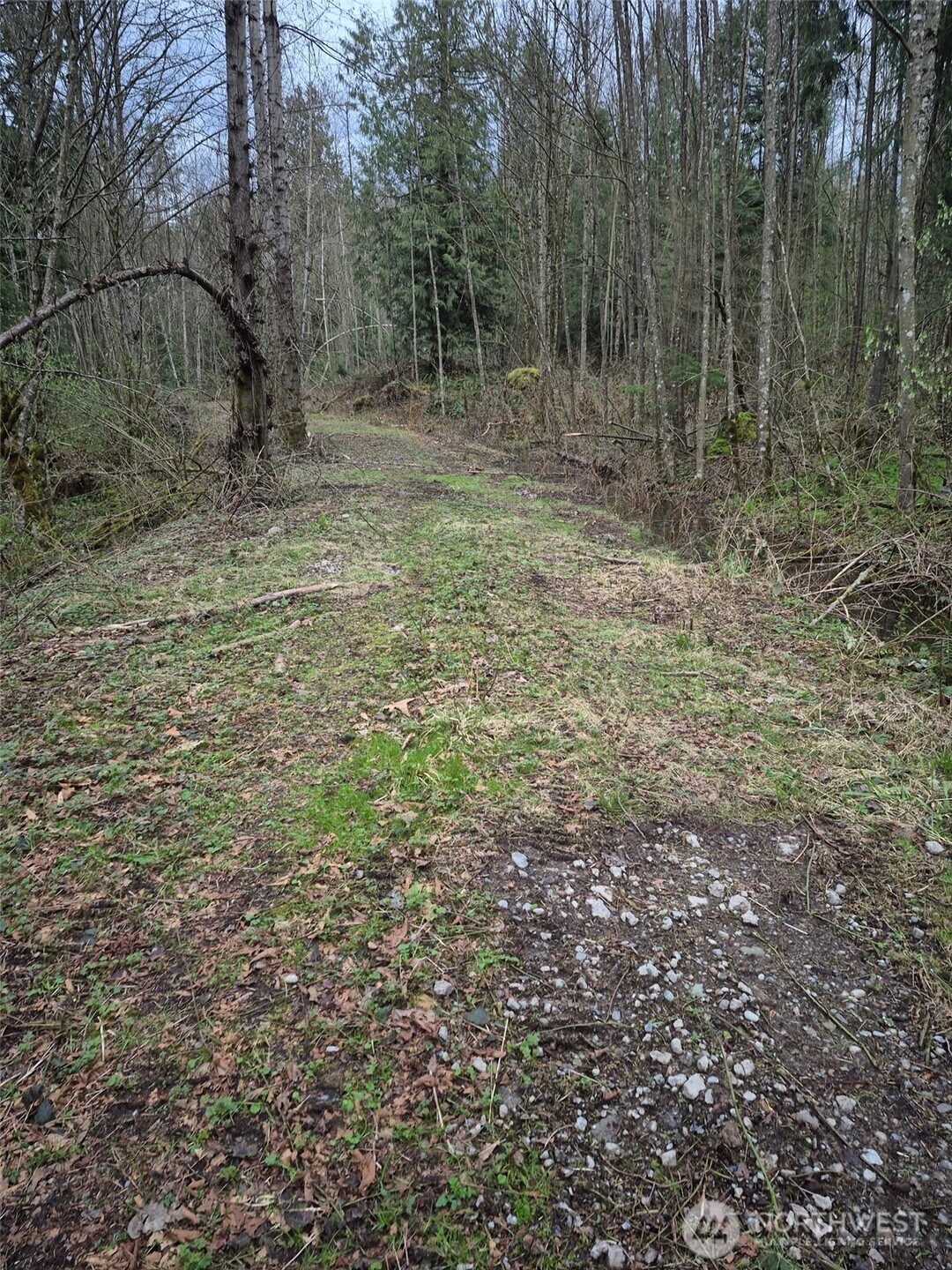 2046 Burk Road Blaine, WA 98230 - Photo 15 of 16 a view of a forest with trees in the background