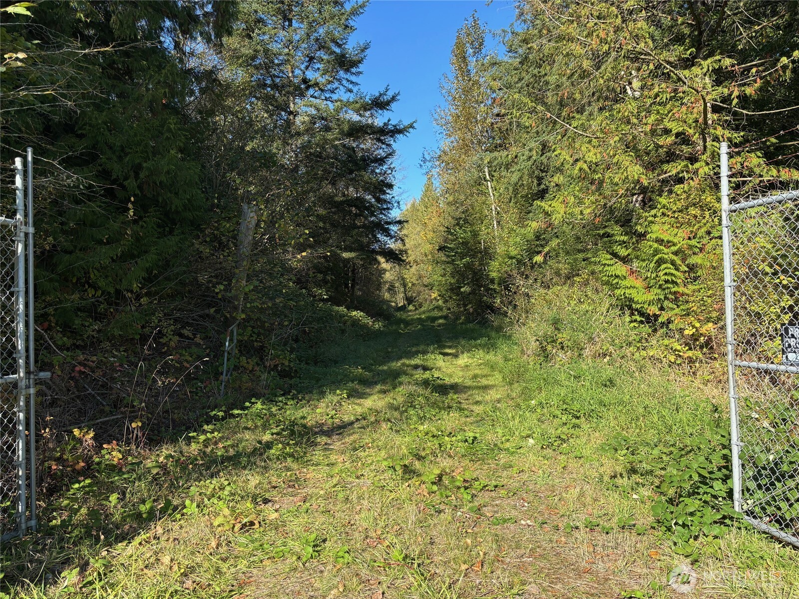 2046 Burk Road Blaine, WA 98230 - Photo 3 of 16