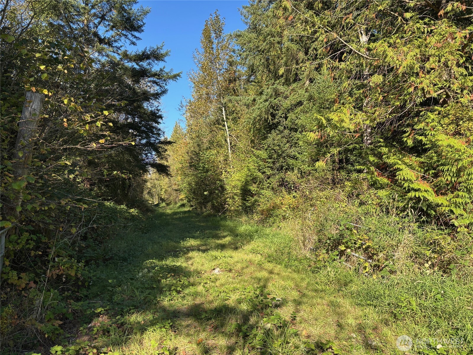 2046 Burk Road Blaine, WA 98230 - Photo 5 of 16 a view of a yard
