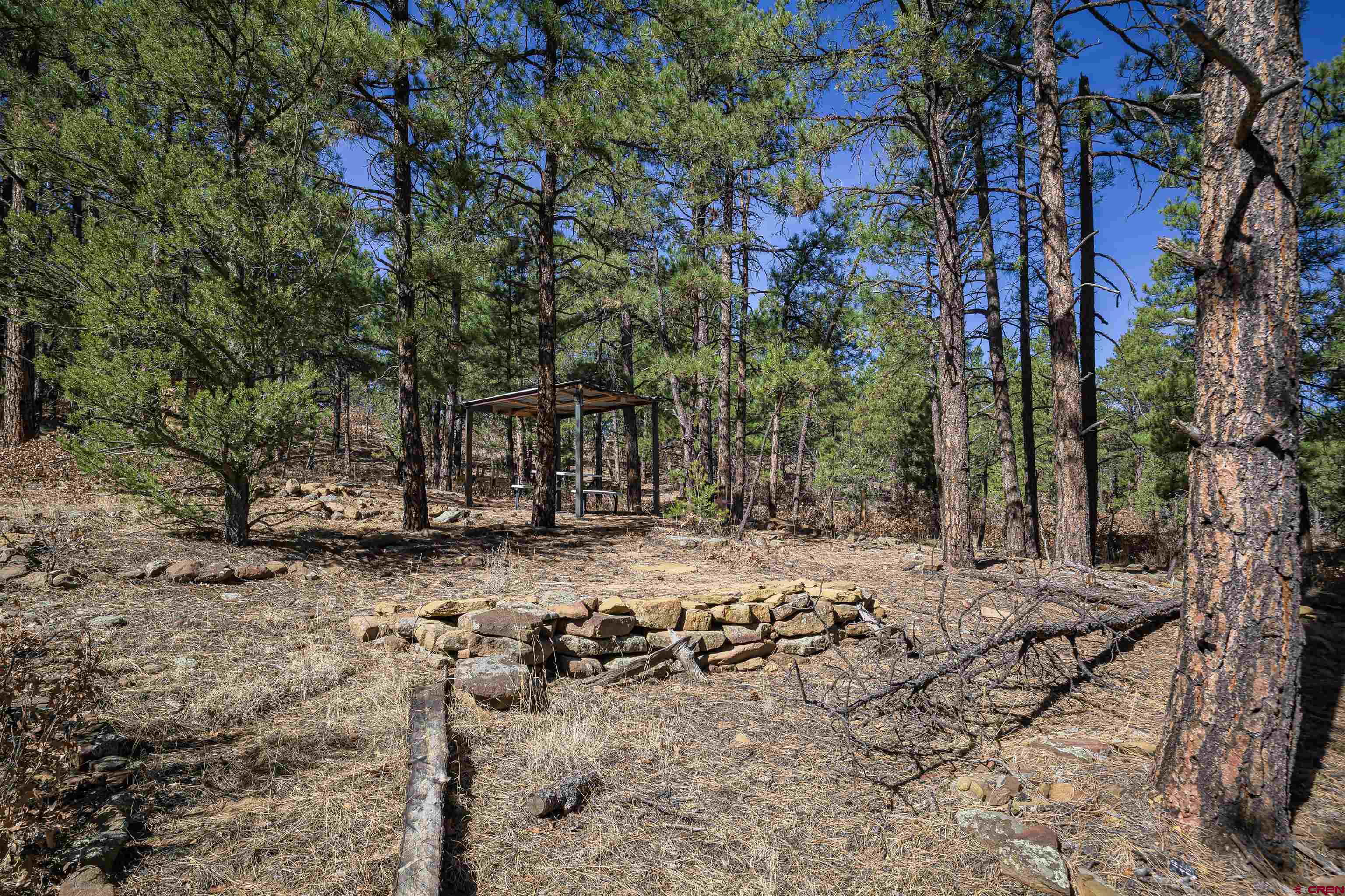 17990 Kings Road Weston, CO 81091 - Photo 12 of 45 a view of a yard with large trees