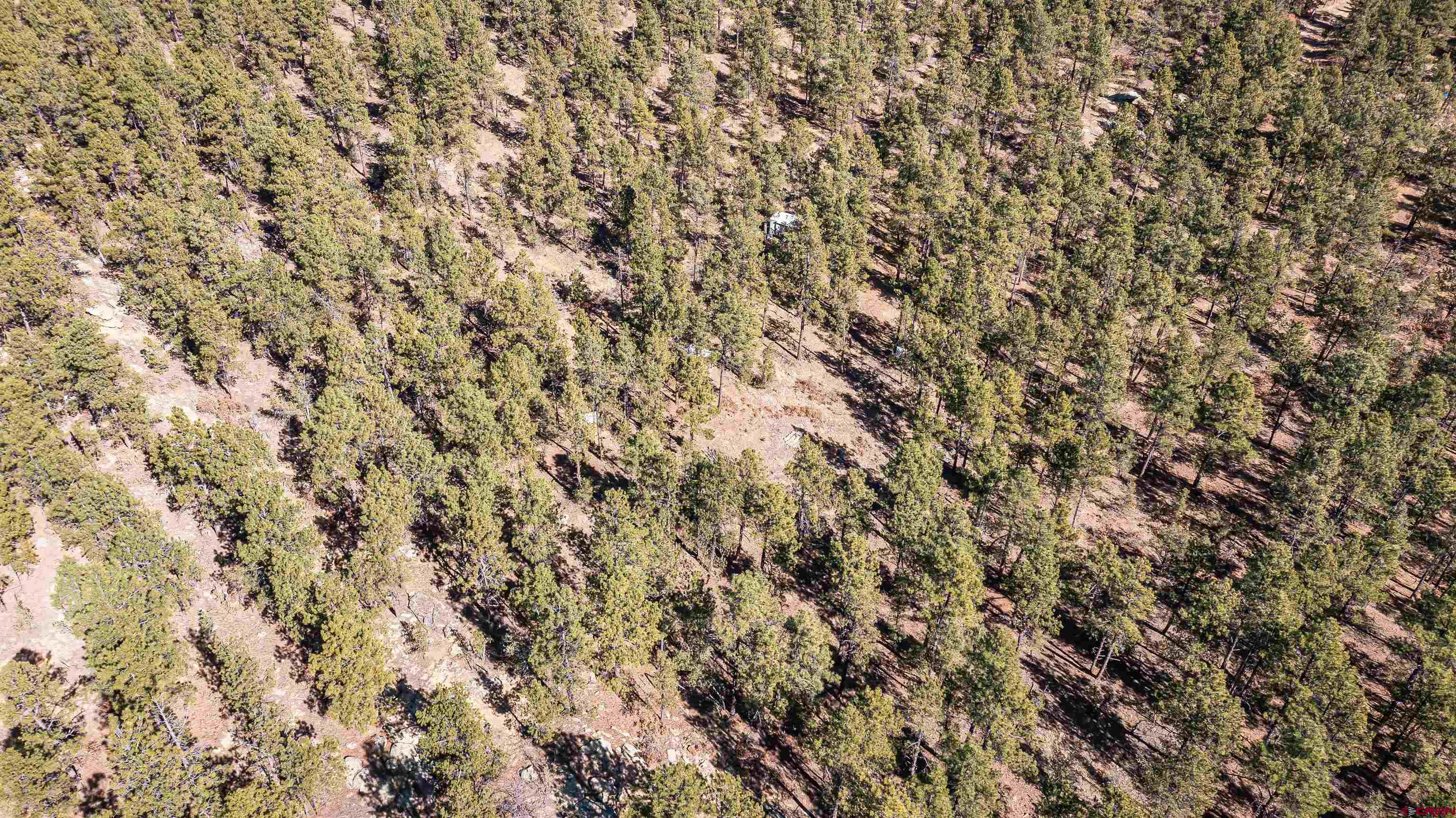 17990 Kings Road Weston, CO 81091 - Photo 17 of 45