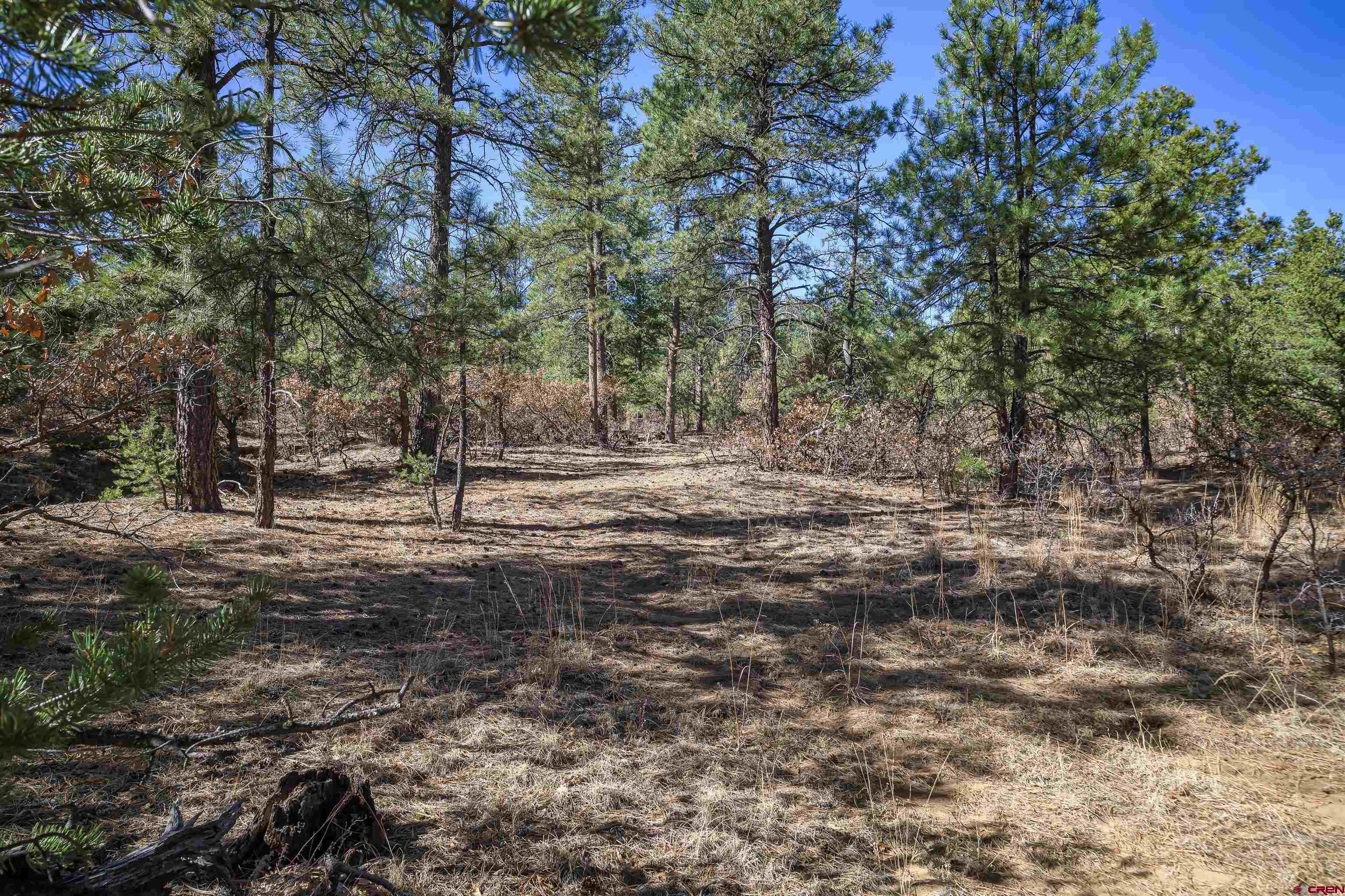 17990 Kings Road Weston, CO 81091 - Photo 23 of 45