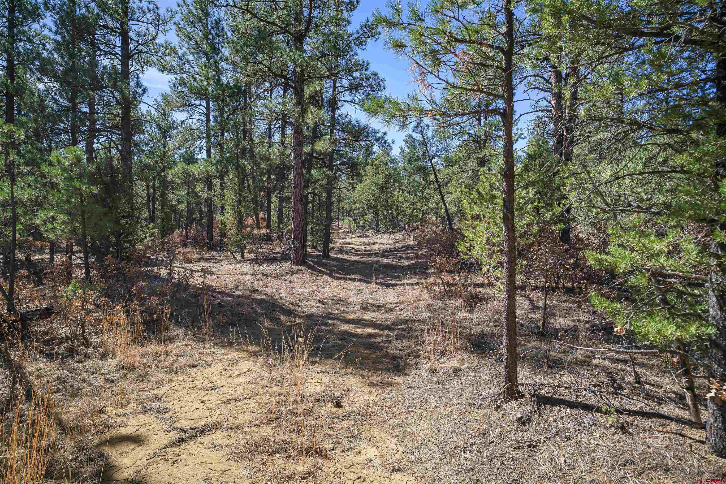 17990 Kings Road Weston, CO 81091 - Photo 25 of 45