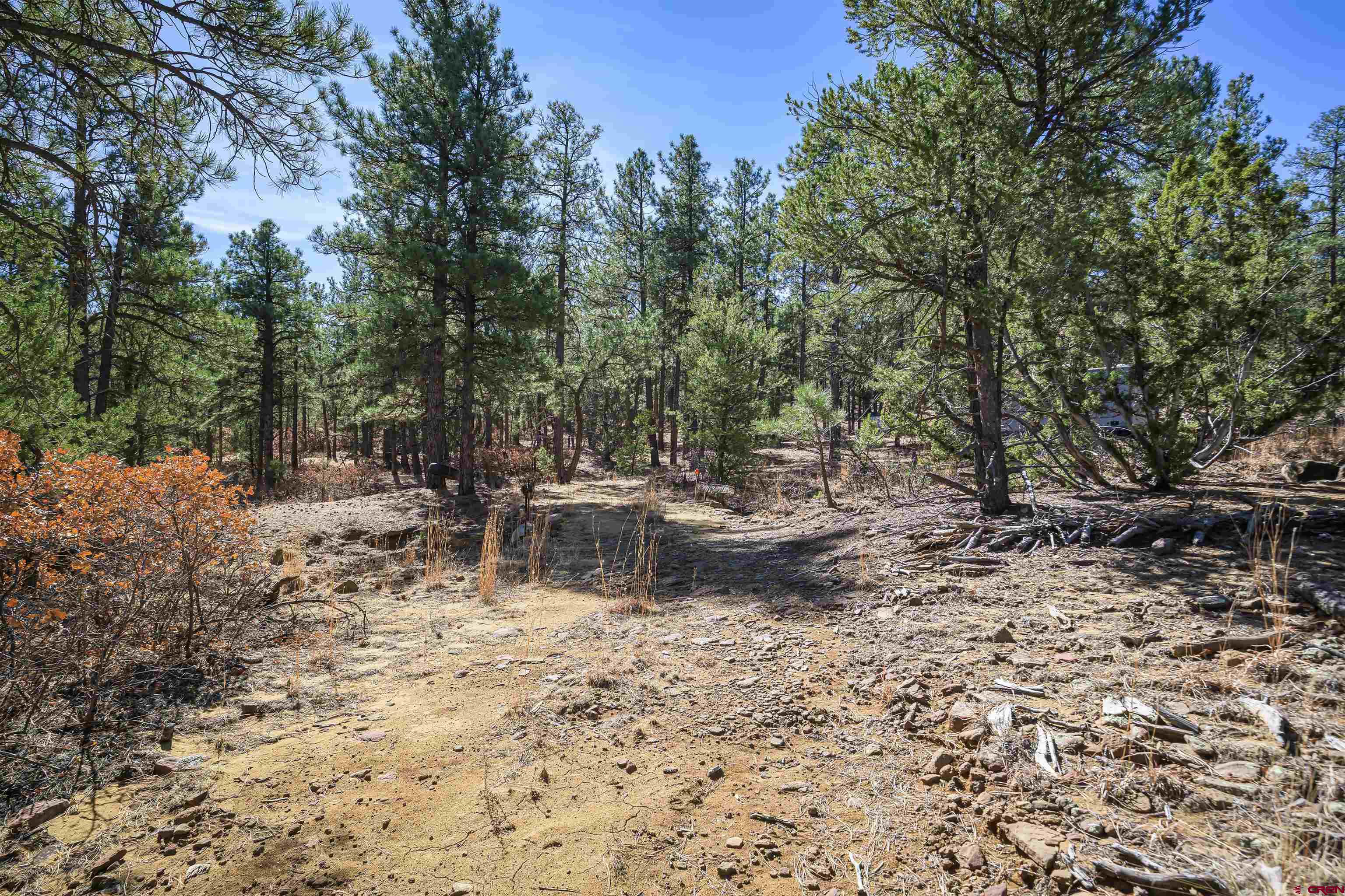 17990 Kings Road Weston, CO 81091 - Photo 26 of 45 a view of a lake with a tree