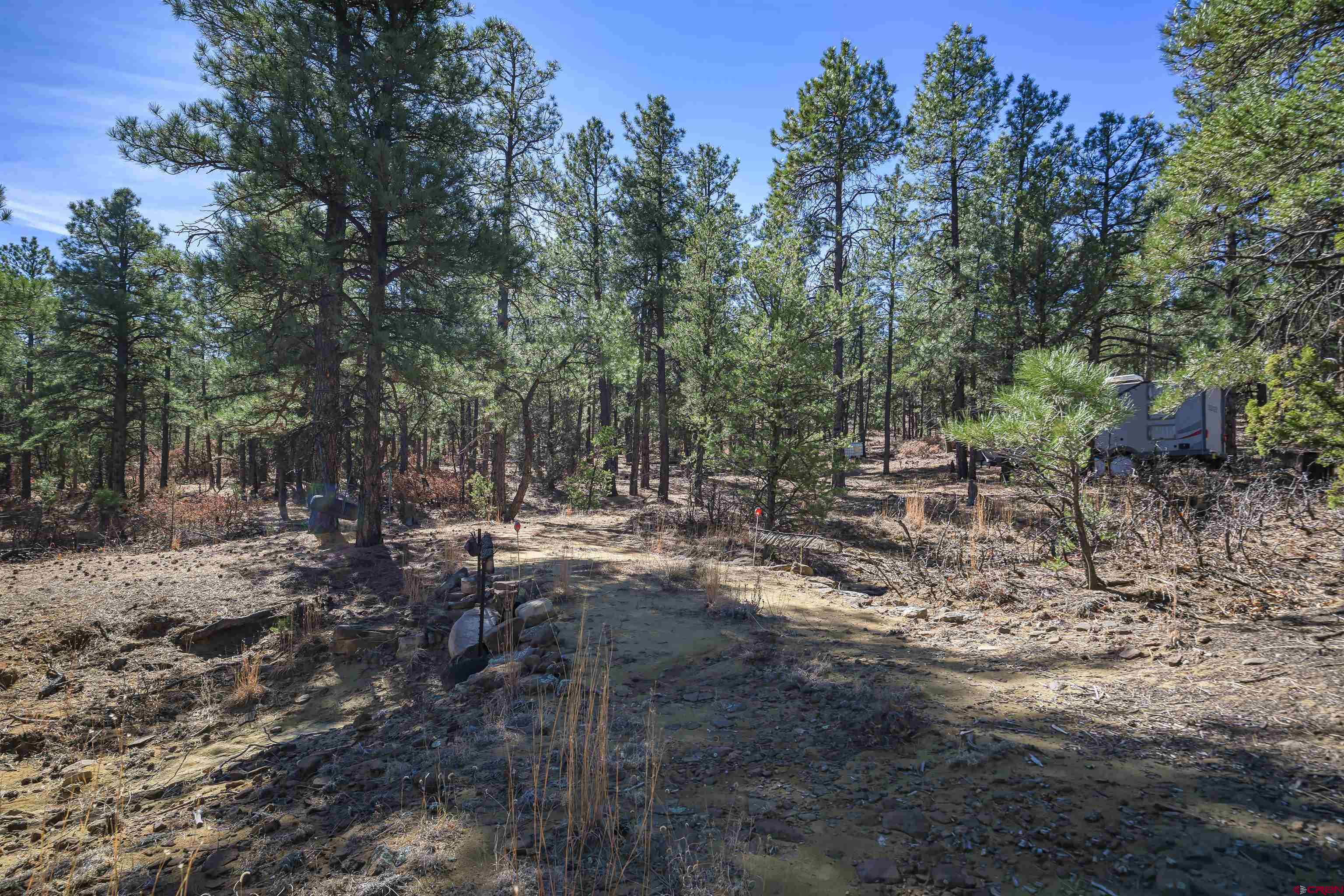17990 Kings Road Weston, CO 81091 - Photo 27 of 45 a view of a forest with trees