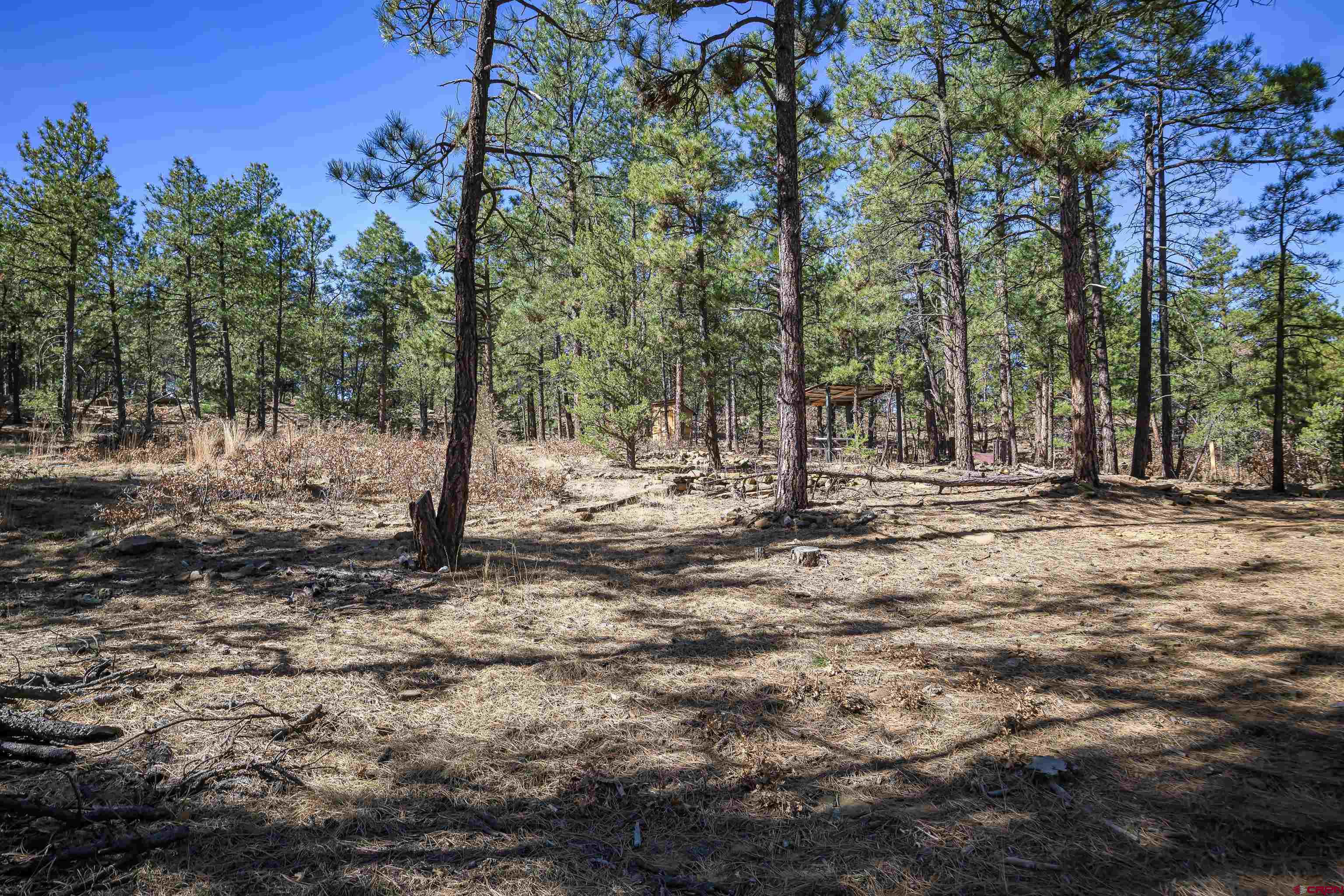 17990 Kings Road Weston, CO 81091 - Photo 34 of 45 a view of outdoor space with trees