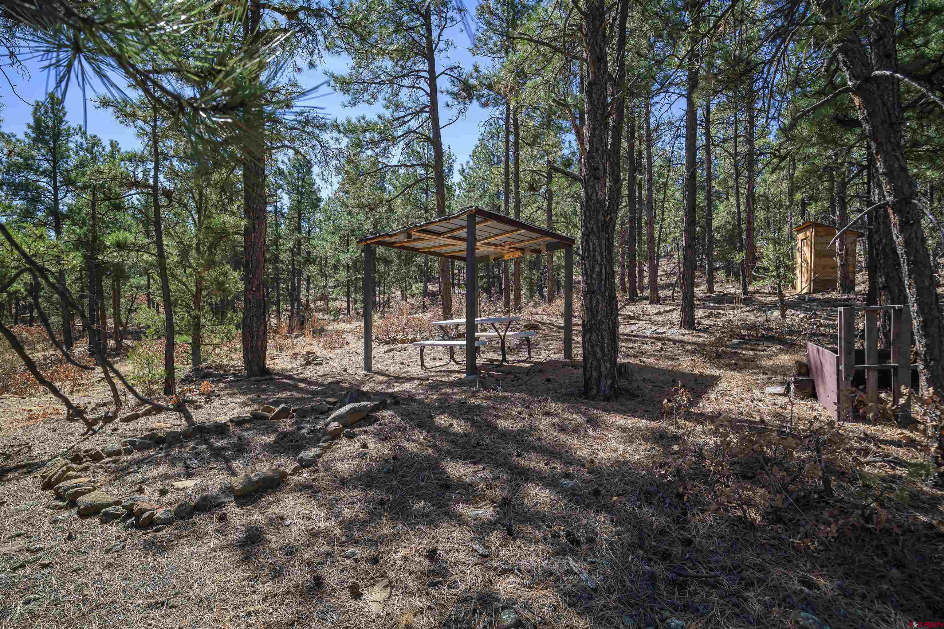 17990 Kings Road Weston, CO 81091 - Photo 36 of 45 a view of a backyard with large trees