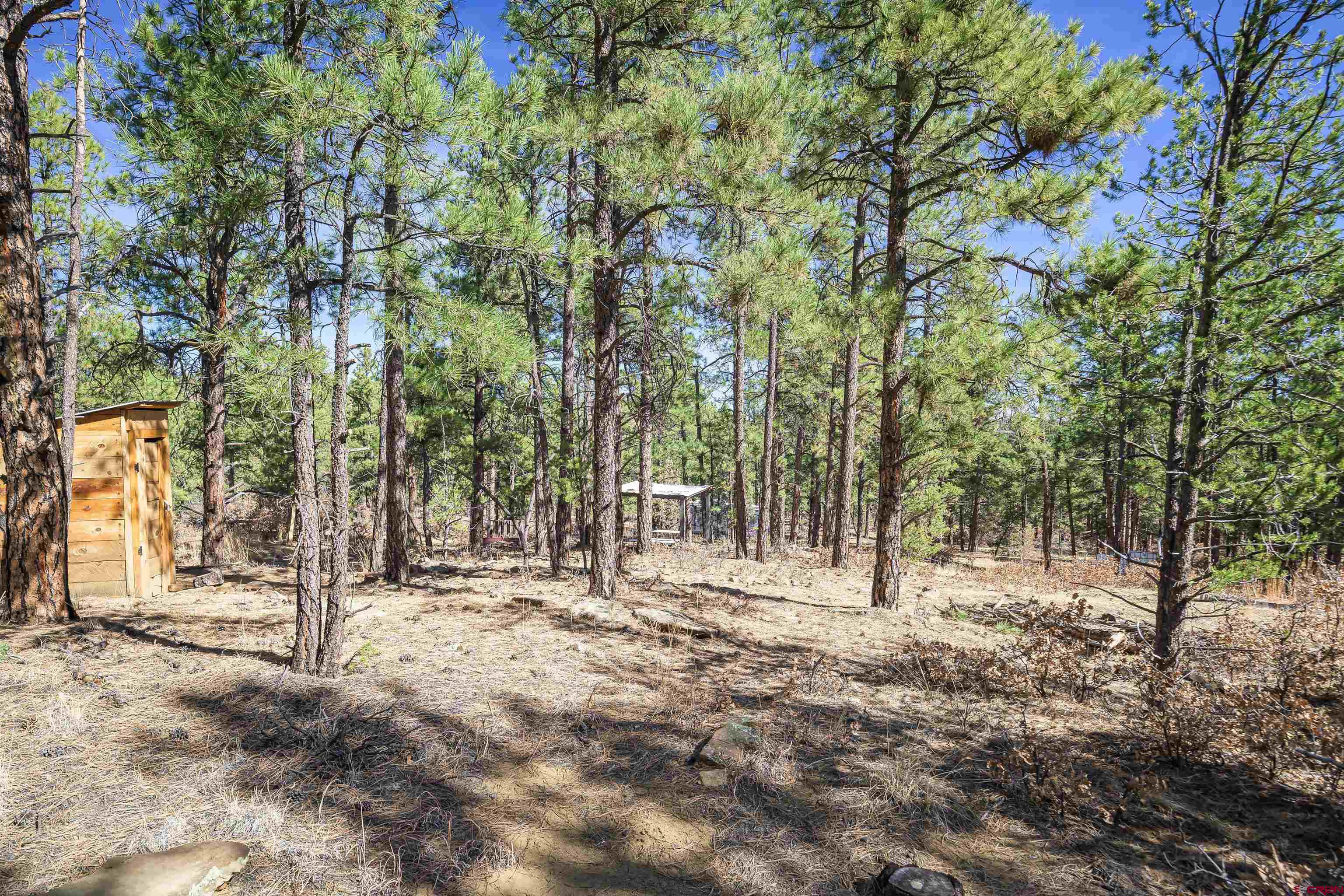 17990 Kings Road Weston, CO 81091 - Photo 40 of 45 a view of outdoor space with trees