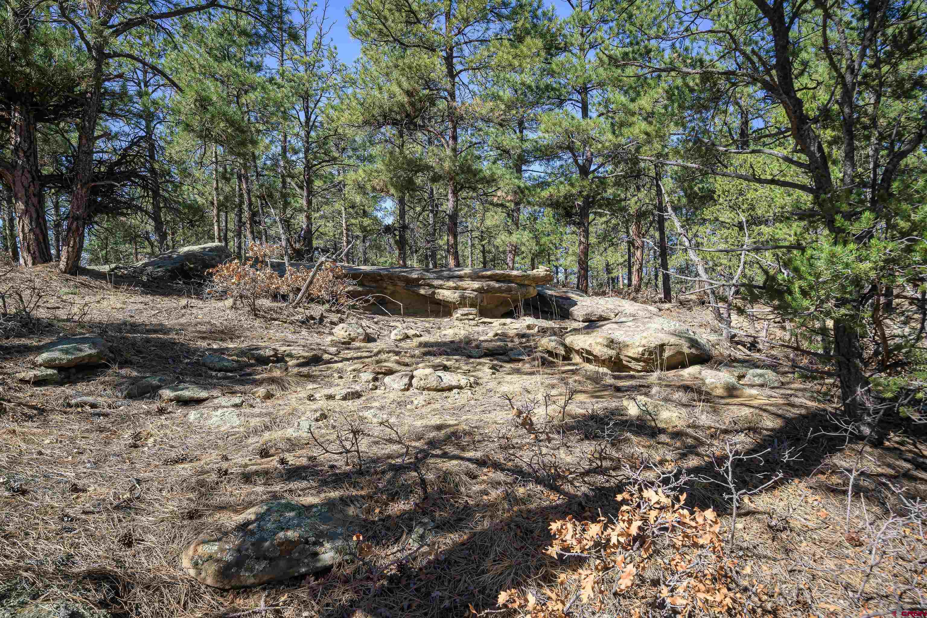 17990 Kings Road Weston, CO 81091 - Photo 4 of 45