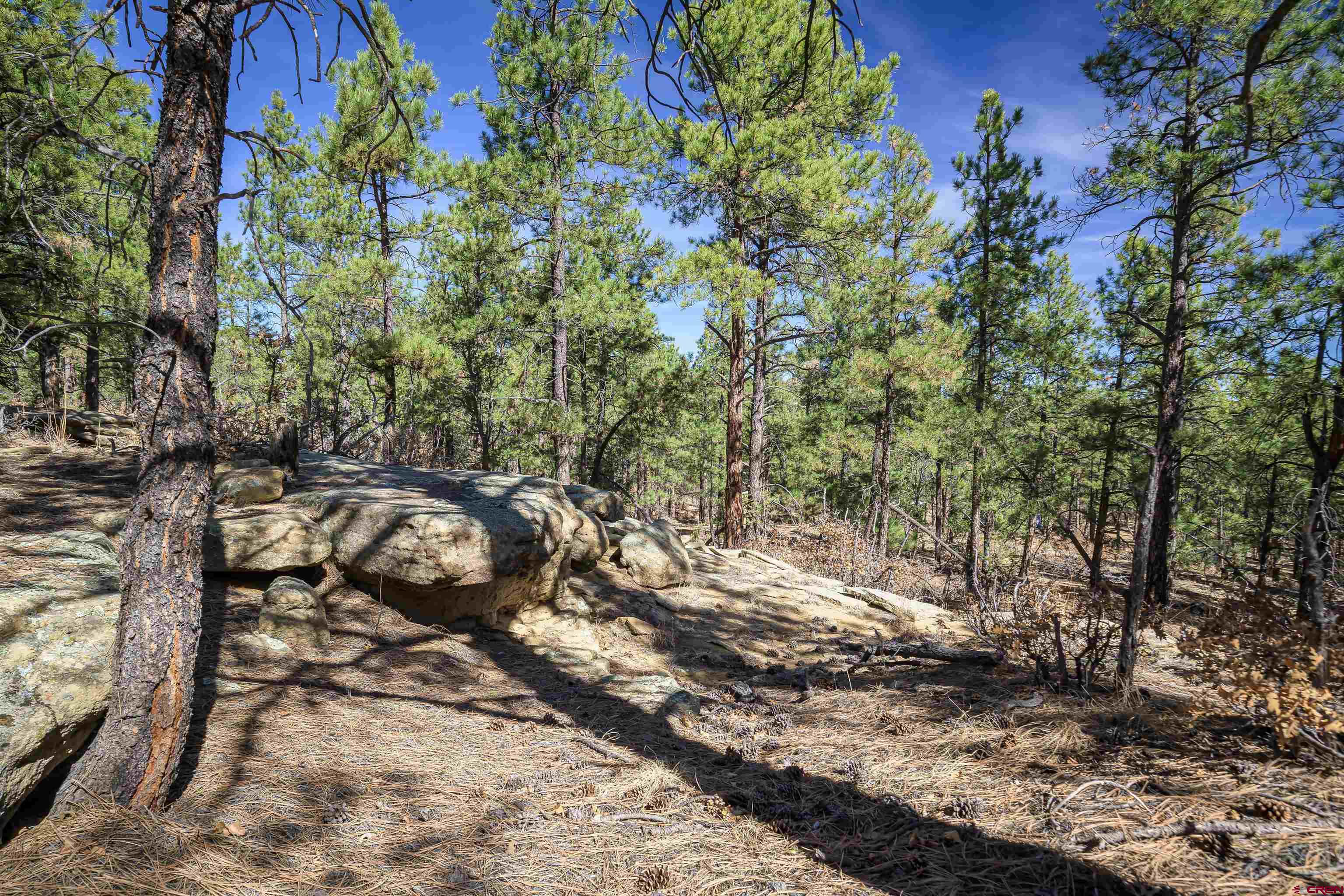 17990 Kings Road Weston, CO 81091 - Photo 7 of 45