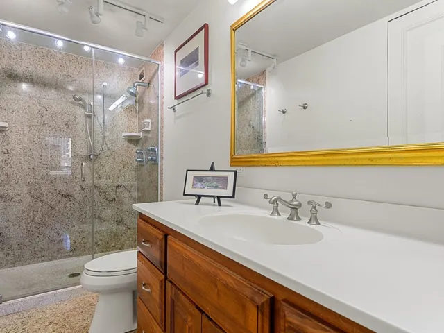 a bathroom with a sink a toilet and shower