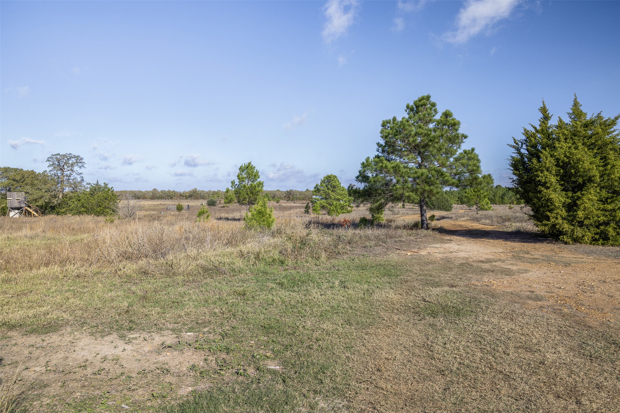 1759 Gotier Trace Road Paige, TX 78659 - Photo 6 of 40 a view of a field with trees in the background