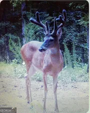 $698,500 | 153 North Whatley Road, LaGrange, GA 30240