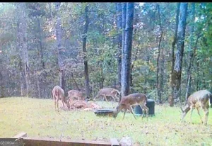 $698,500 | 153 North Whatley Road, LaGrange, GA 30240