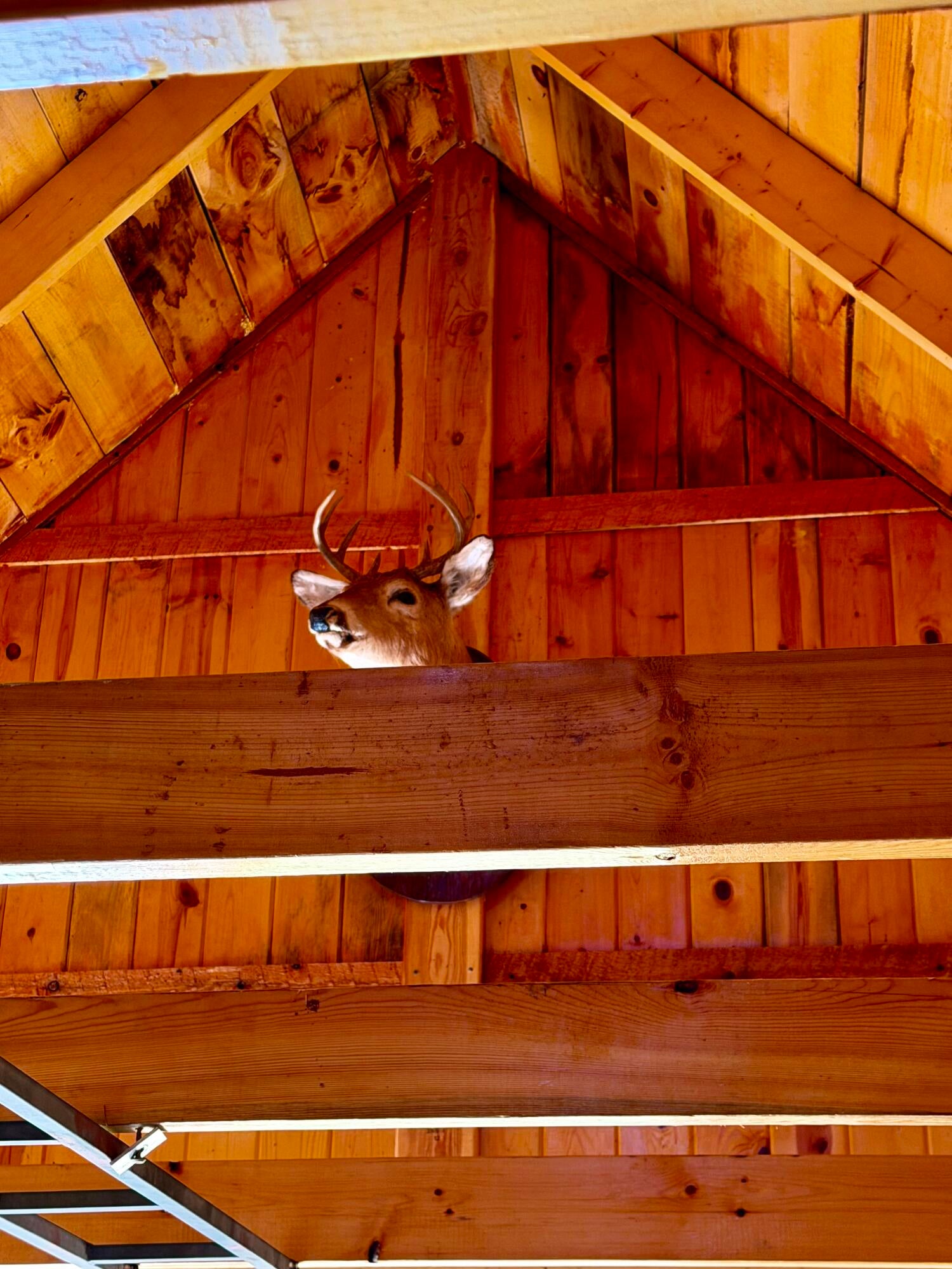 0 West Irish Line Road Brimley, MI 49715 - Photo 5 of 13 Gallery Image 5