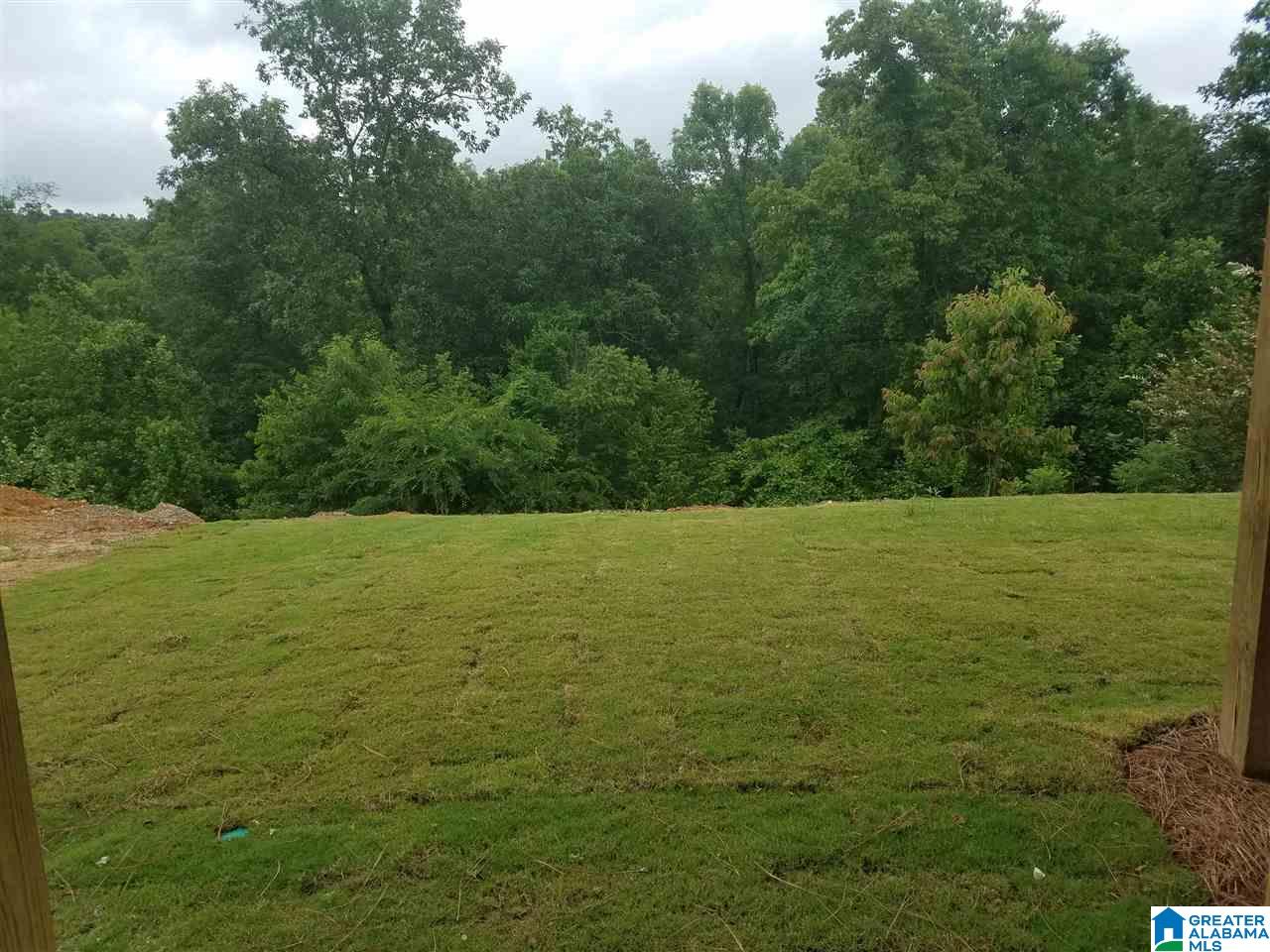 829 Madison Lane Helena, AL 35080 - Photo 23 of 36