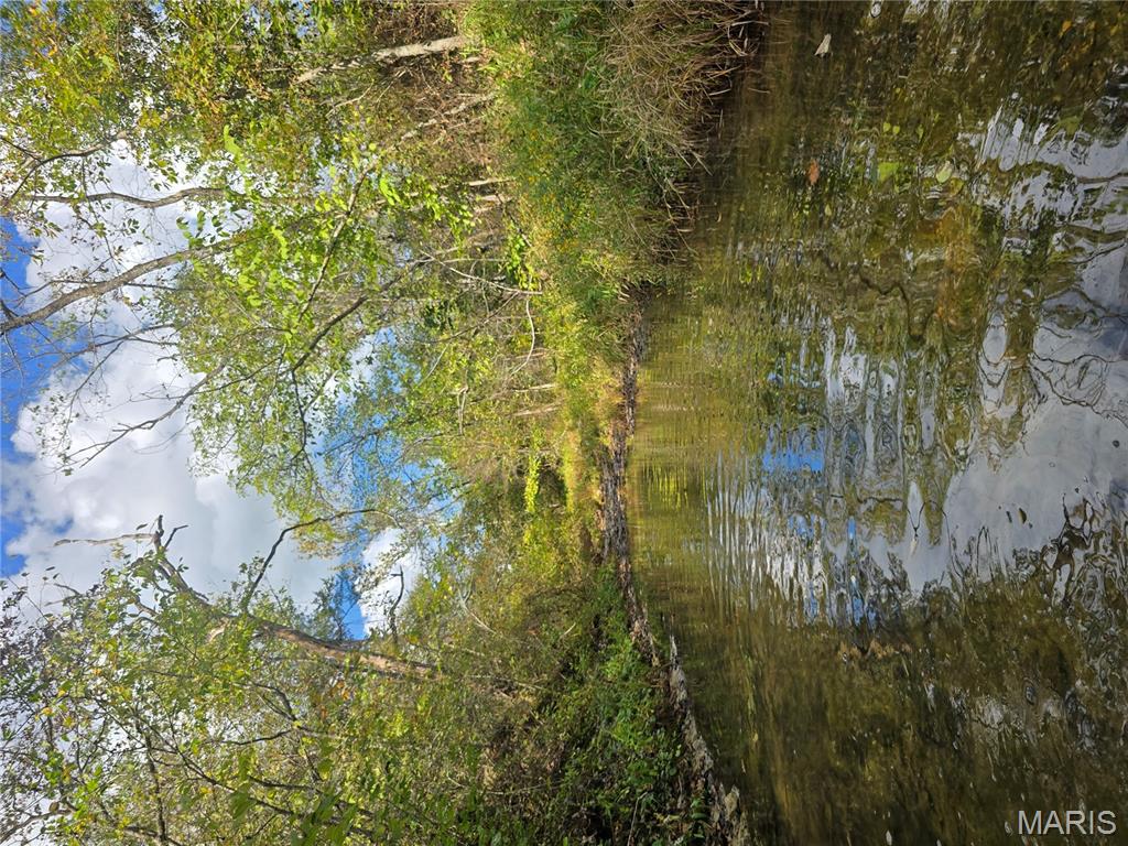 30 Acres Highway Cadet, MO 63630 - Photo 1 of 79