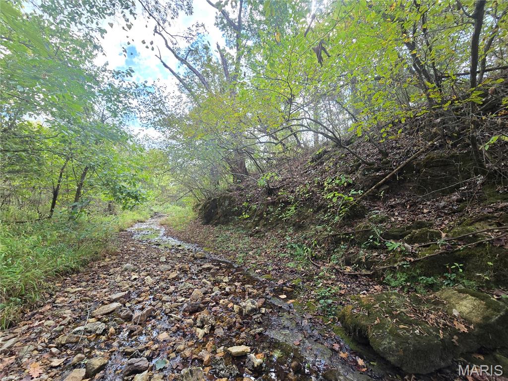 30 Acres Highway Cadet, MO 63630 - Photo 11 of 79