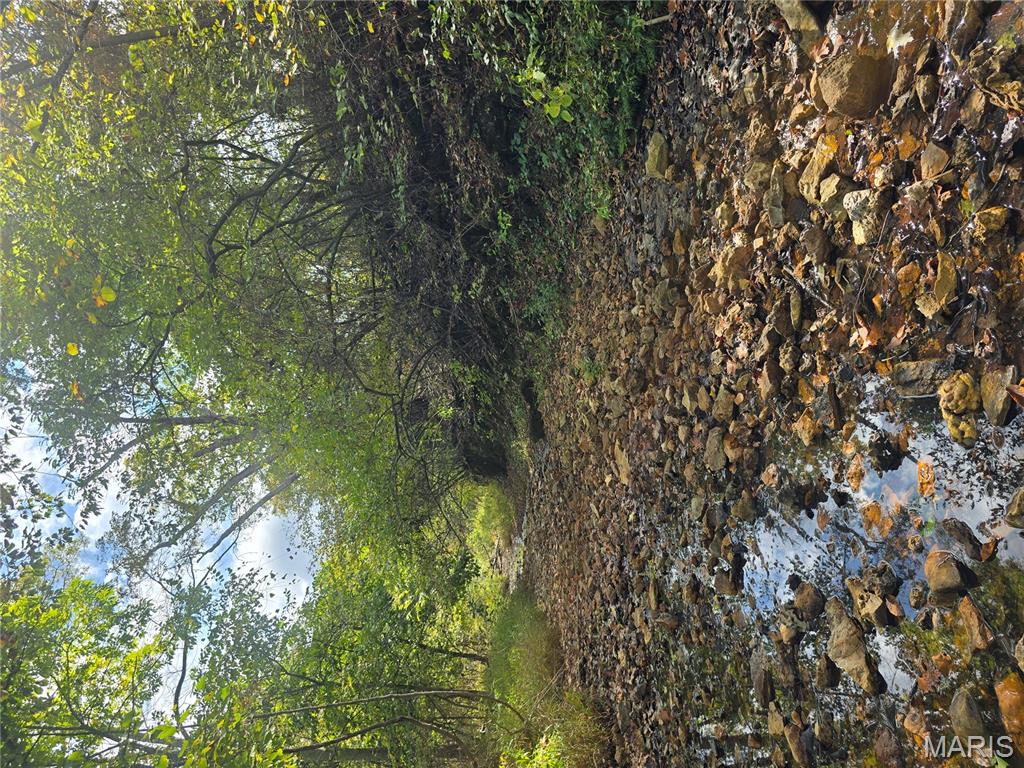 30 Acres Highway Cadet, MO 63630 - Photo 12 of 79