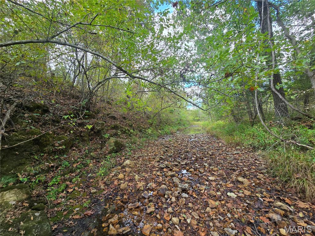 30 Acres Highway Cadet, MO 63630 - Photo 13 of 79